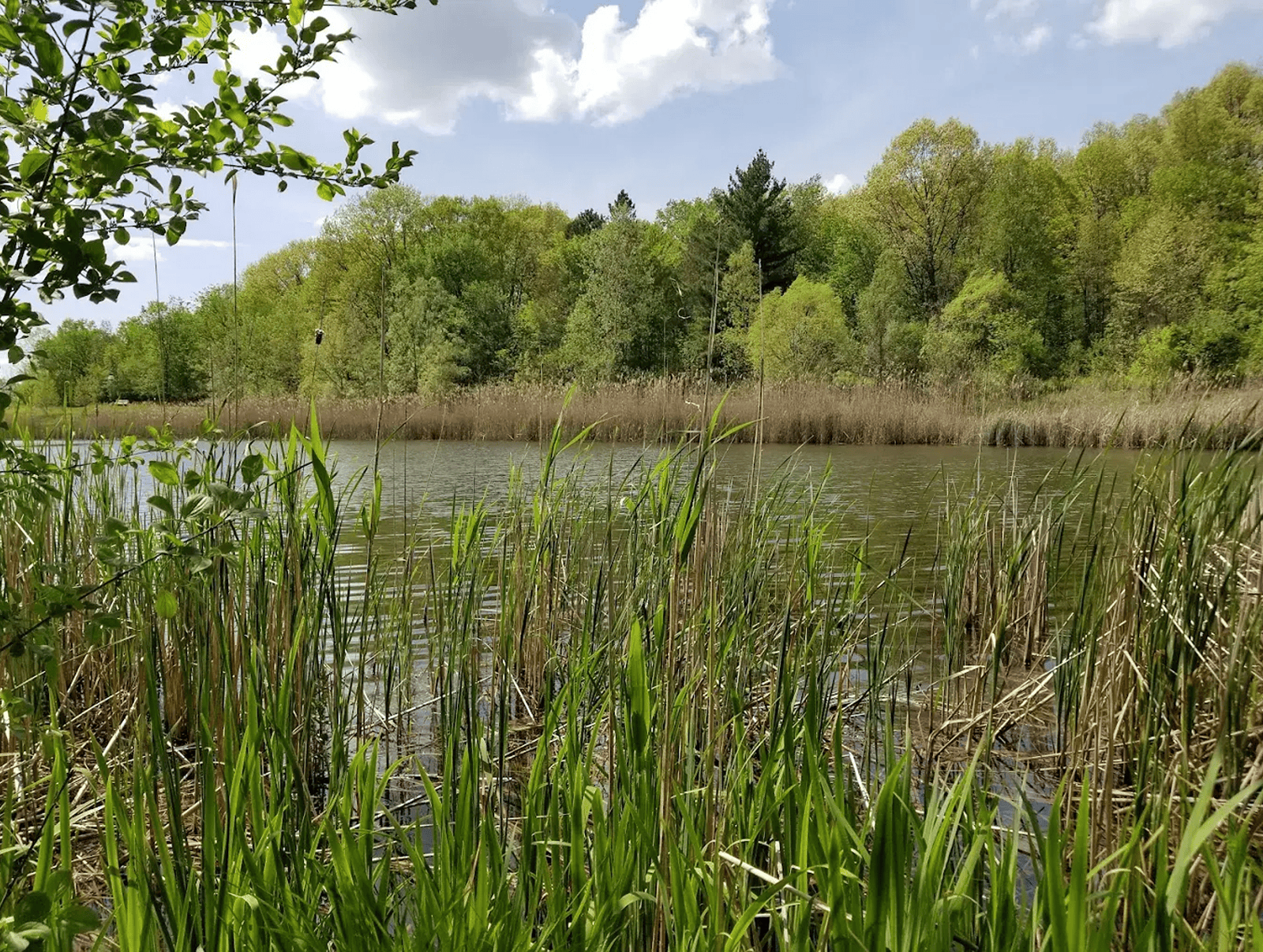 Resort-Style Community Amenities